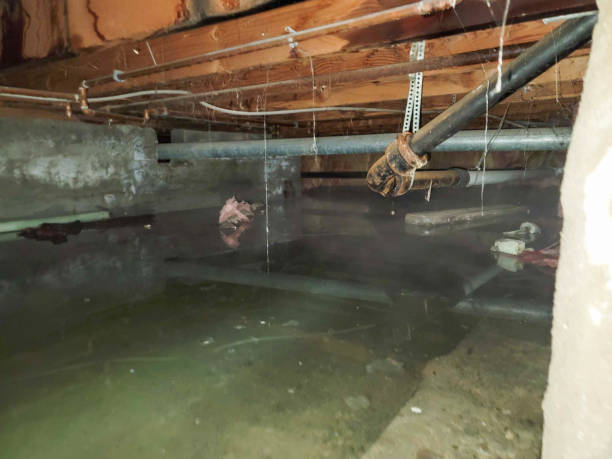 Best Water damage restoration near me  in Covington, VA