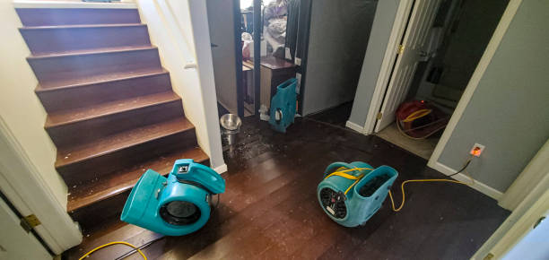 Best Water damage restoration near me  in Covington, VA