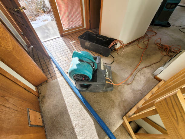 Best Sewage cleanup and water damage restoration  in Covington, VA