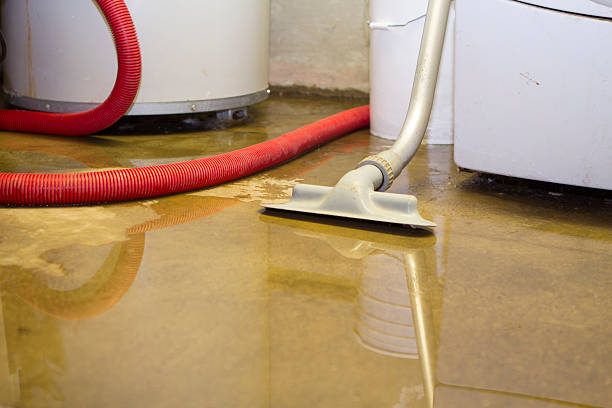 Best Water damage cleanup near me  in Covington, VA