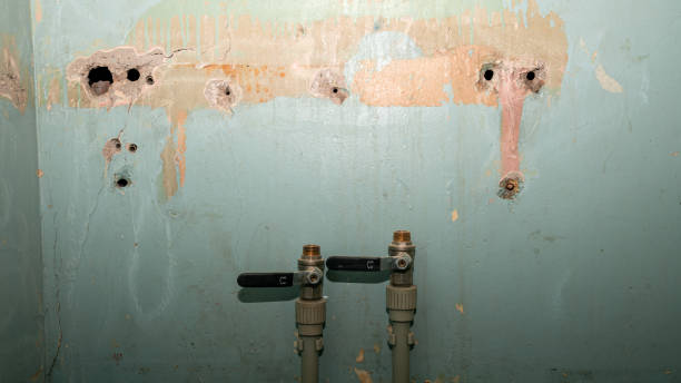 Best Water damage cleanup near me  in Covington, VA