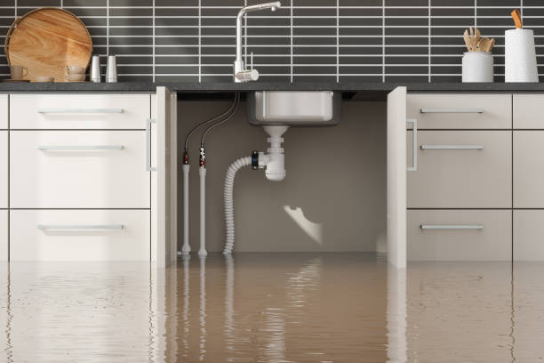 Best 24/7 water damage repair  in Covington, VA