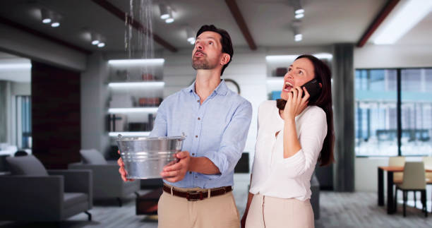Best Flooded house restoration  in Covington, VA